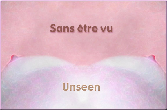 Unseen / Sans tre vu
